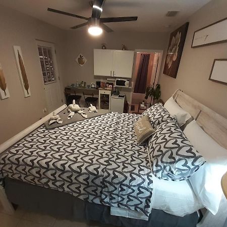 Luxurious Cozy Studio. Tampa Dış mekan fotoğraf