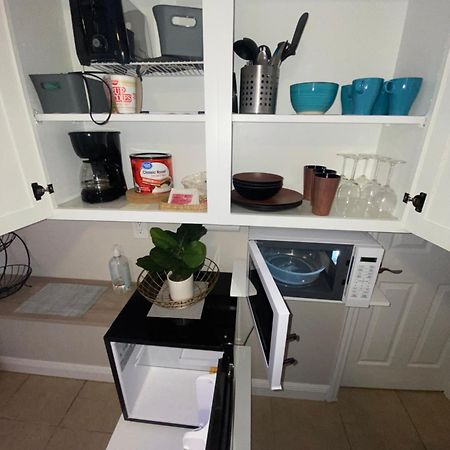 Luxurious Cozy Studio. Tampa Dış mekan fotoğraf