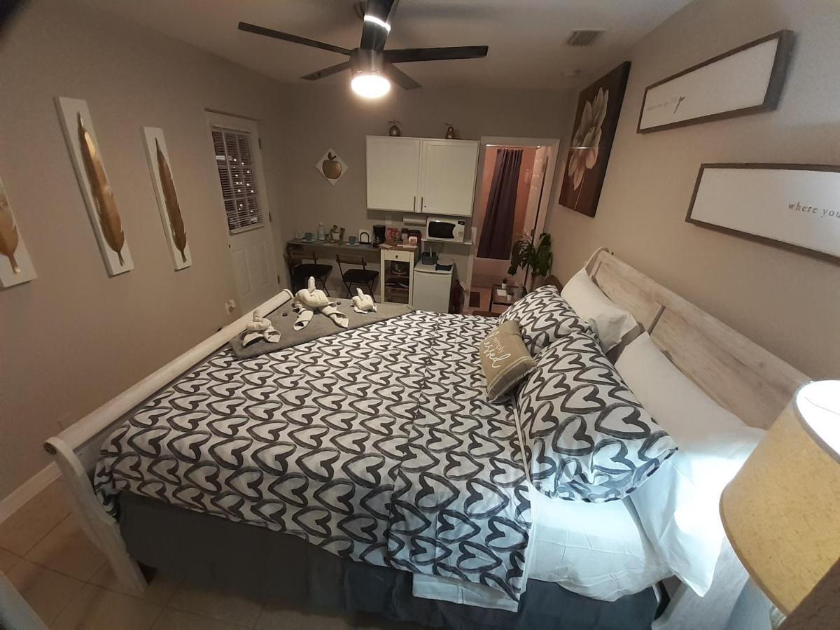 Luxurious Cozy Studio. Tampa Dış mekan fotoğraf
