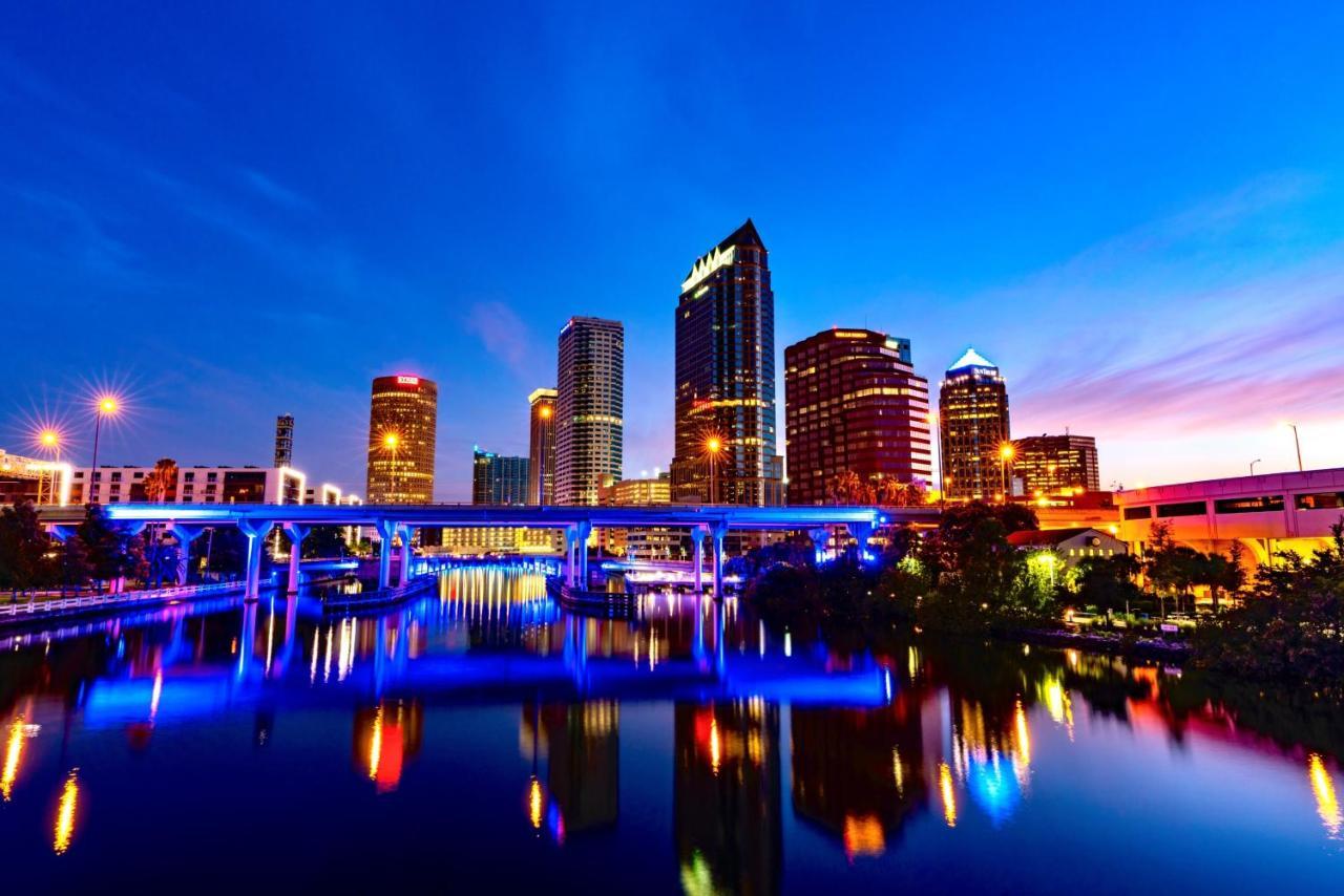 Luxurious Cozy Studio. Tampa Dış mekan fotoğraf