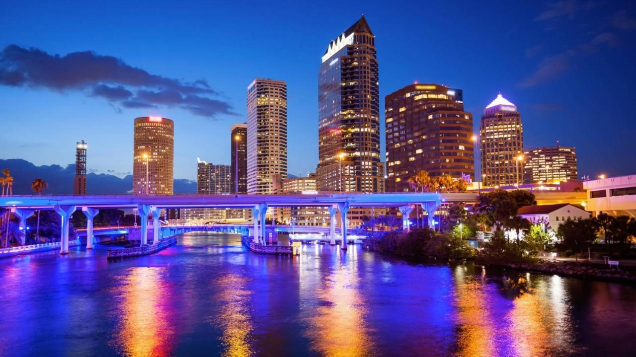 Luxurious Cozy Studio. Tampa Dış mekan fotoğraf